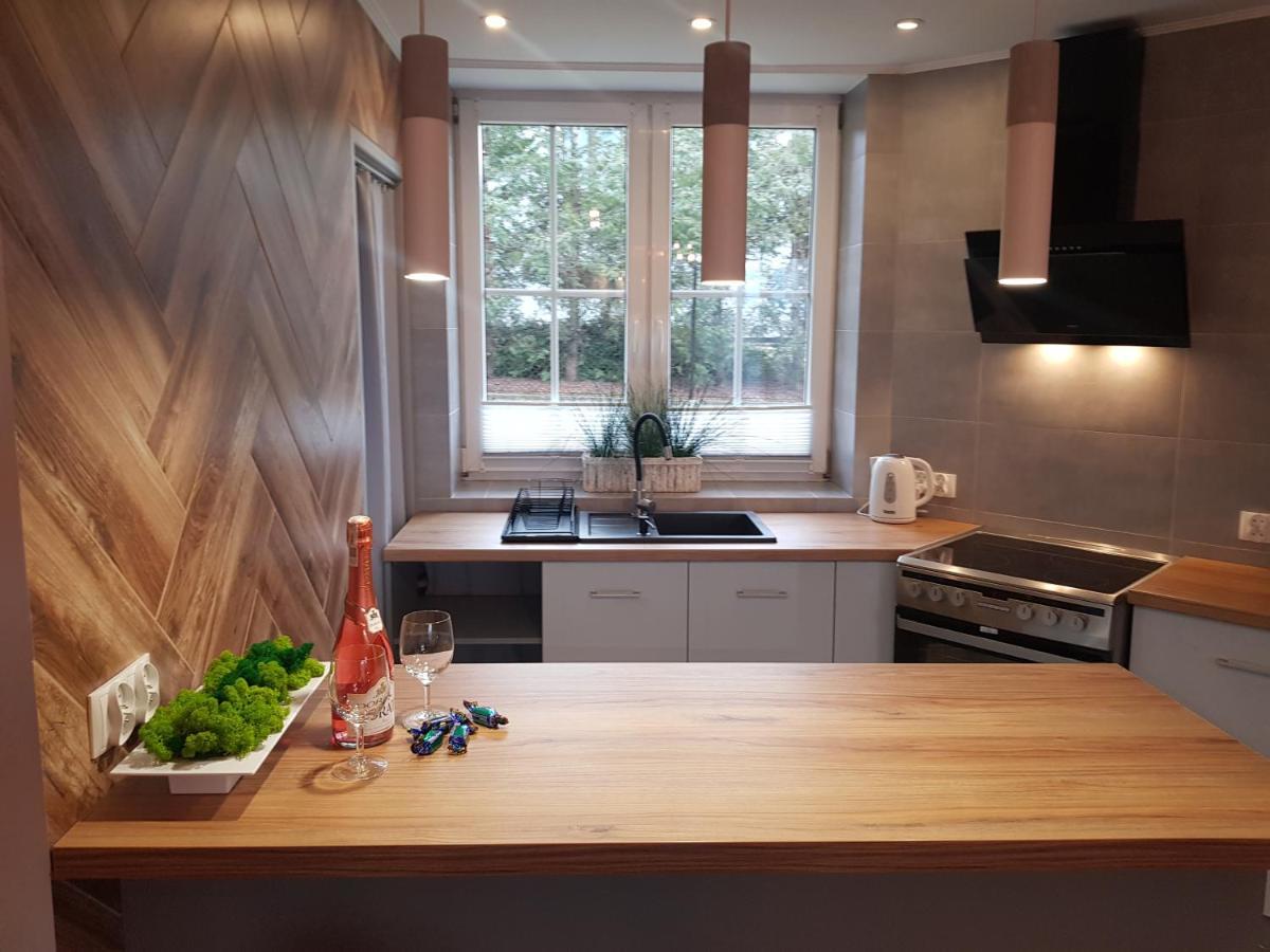 Apartamenty Paszkowka Pietrzykowice  Εξωτερικό φωτογραφία